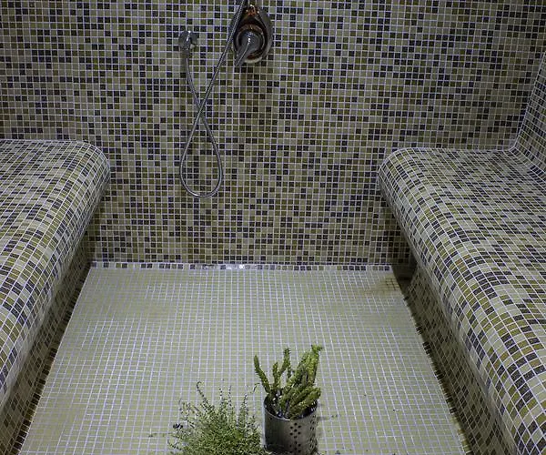 מלון Trigrad Hotel 2*